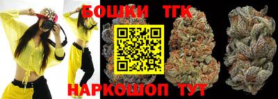 ешки Боровичи