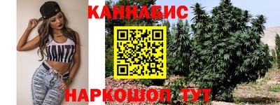 ешки Боровичи