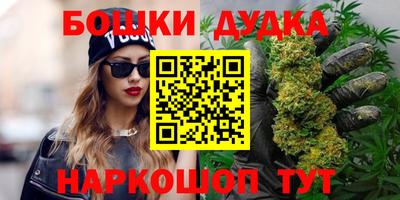 ешки Боровичи