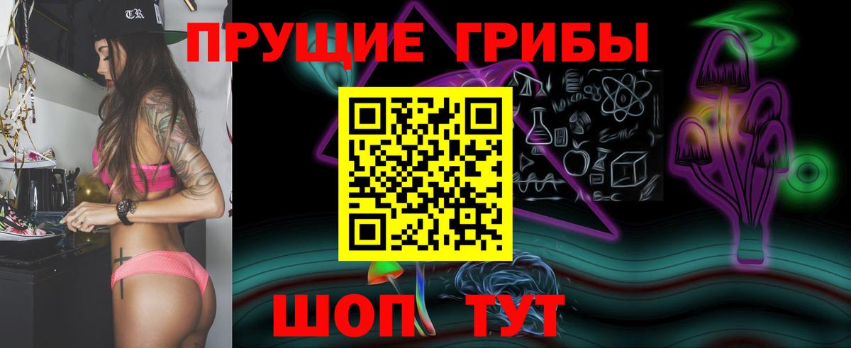 Псилоцибиновые грибы ЛСД Новодвинск
